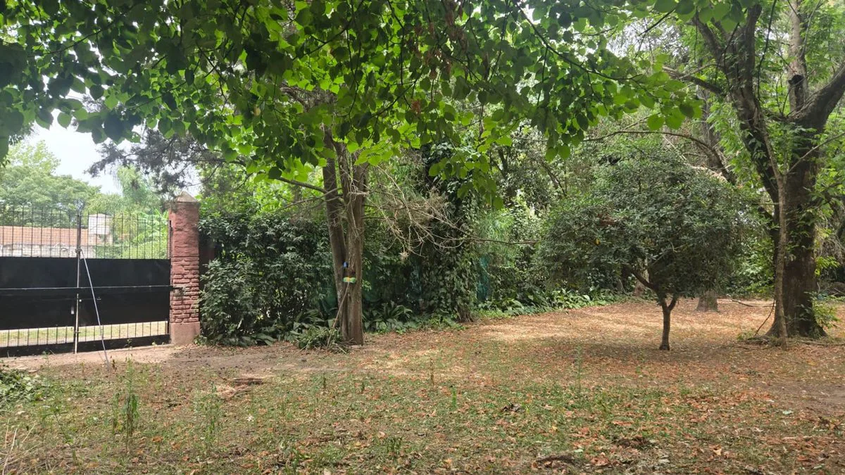 VENTA TERRENO LOTE EN PONTEVEDRA foto 4
