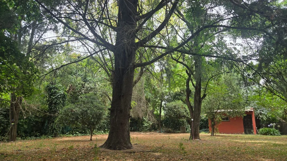 VENTA TERRENO LOTE EN PONTEVEDRA foto 5