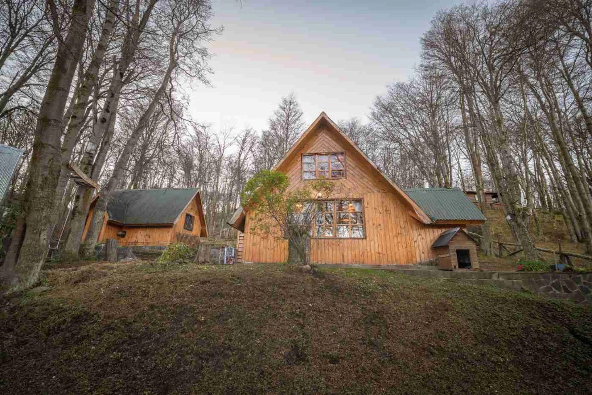 VENTA DE CASA TIPO CABAÑA + MONOAMBIENTE foto 4