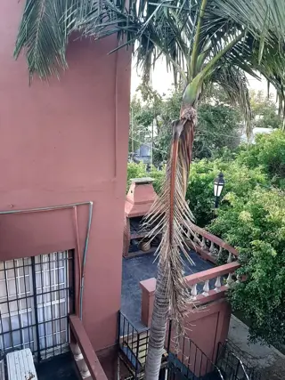 VENTA PH 3 AMBIENTES CON BALCON VILLA LUZURIAGA foto 2