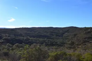 SE VENDE UNA HECTAREA EN CABALANGO, SIERRAS DE CORDOBA foto 3