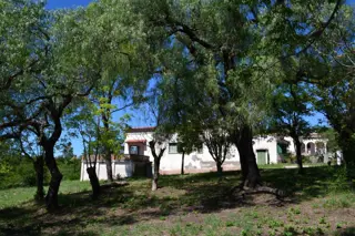 De Blasis Bienes Raices vende Antigua propiedad en zona centro, Tanti foto 3
