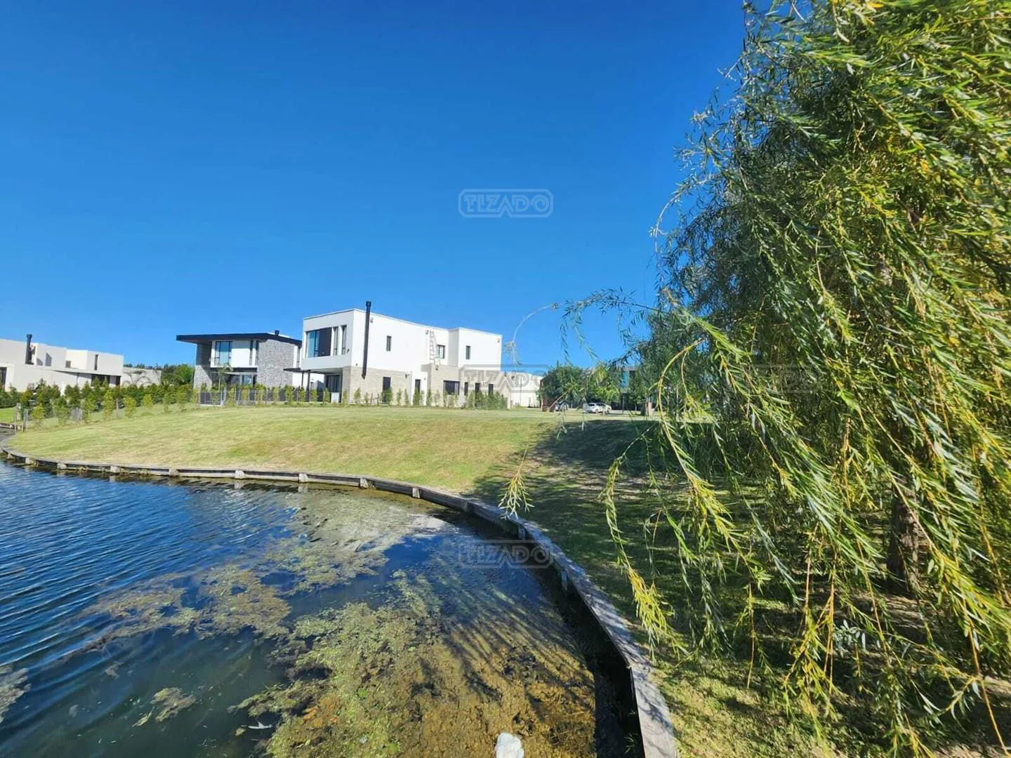 Carpinchos foto 5