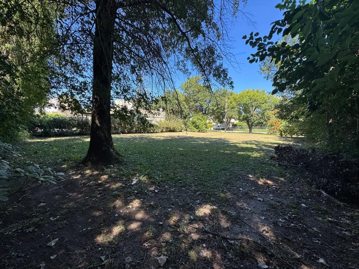SE VENDE TERRENO EN LOS MOLINOS. UBICACION UNICA foto 3