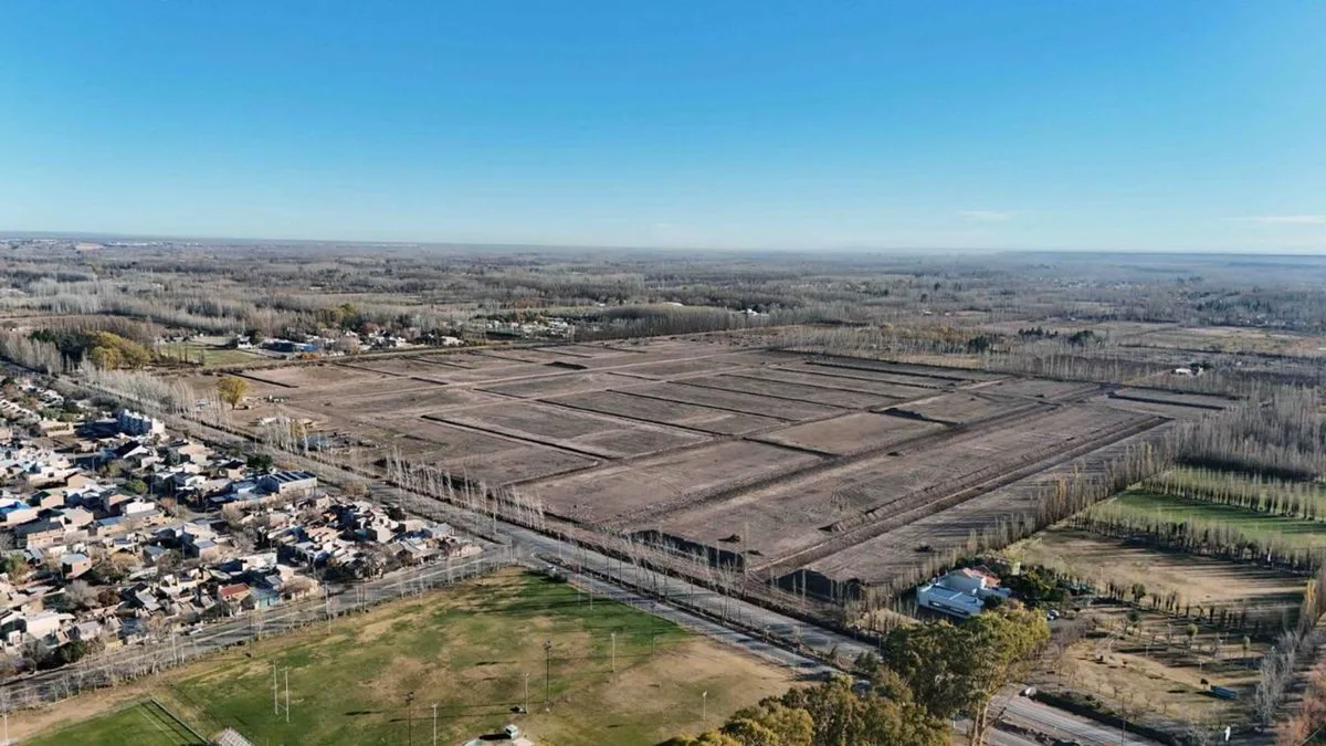 GRAN ALAMEDA, DESARROLLO INMOBILIARIO, CIPOLLETTI foto 4