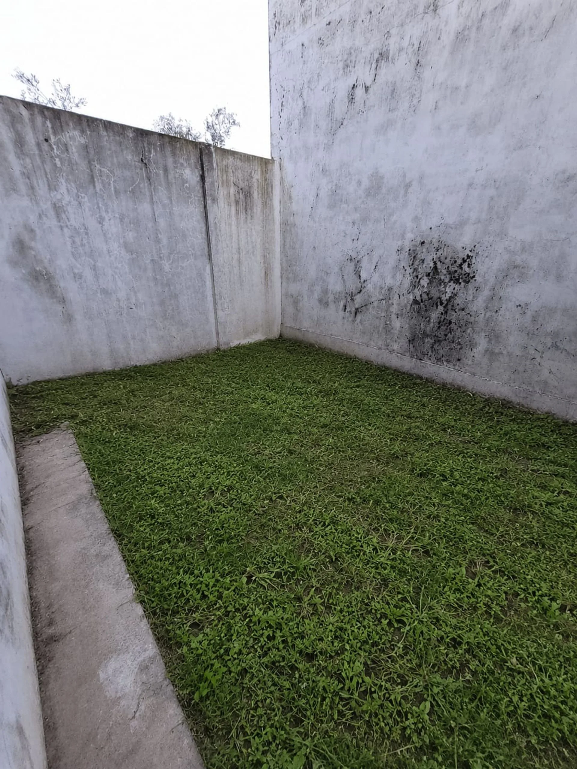 SE VENDE DEPARTAMENTO EN SANTO TOMÉ foto 3