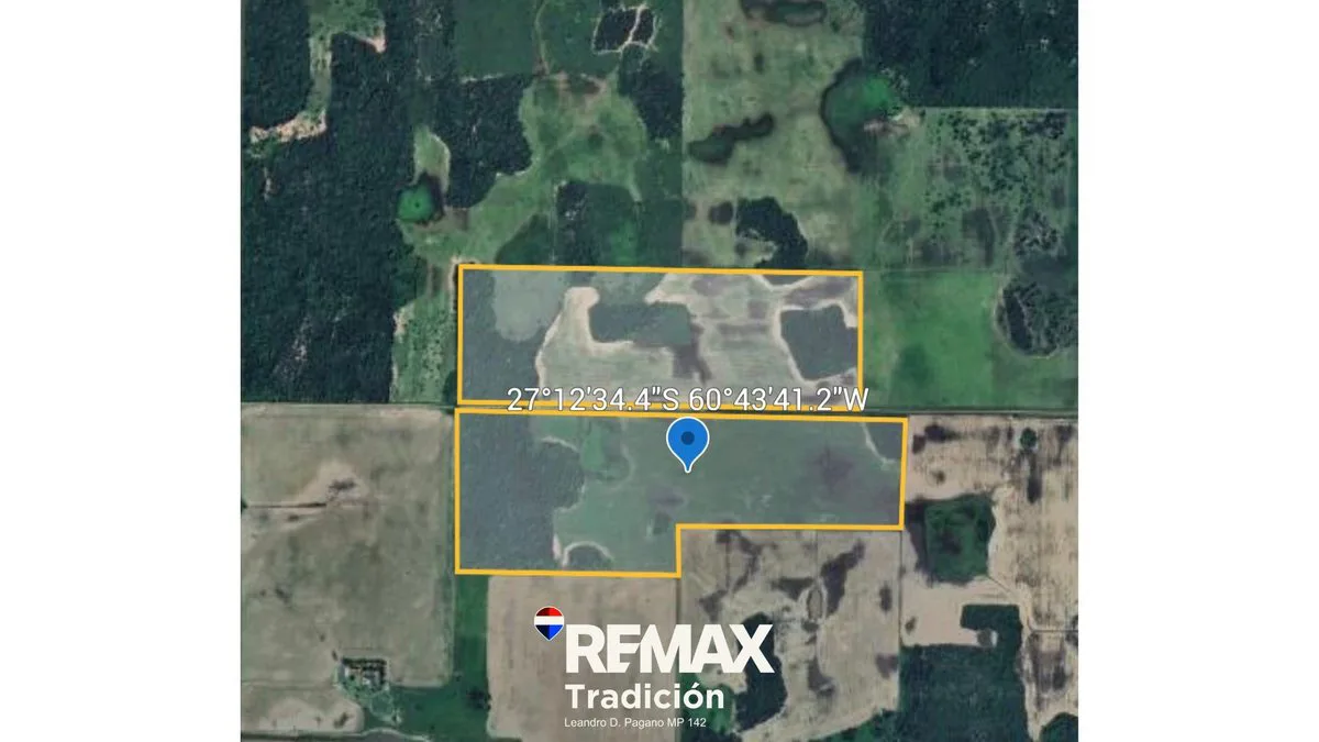 Campo 55 Has en venta – O’Higgins – Mixto