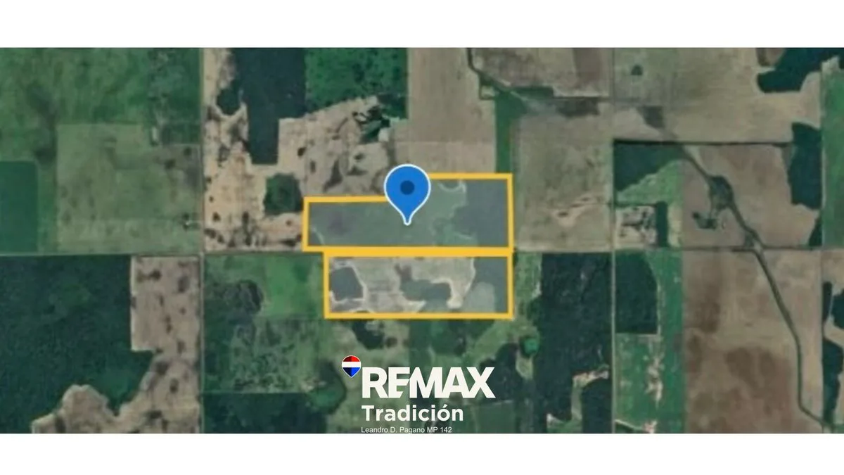 Campo 55 Has en venta – O’Higgins – Mixto foto 5