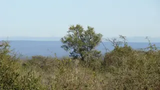 EXCELENTE OPORTUNIDAD DE INVERSIÓN EN TRASLASIERRA CORDOBA foto 2