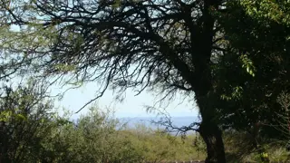 EXCELENTE OPORTUNIDAD DE INVERSIÓN EN TRASLASIERRA CORDOBA foto 4