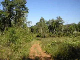 VENDEMOS CAMPO MIXTO foto 1