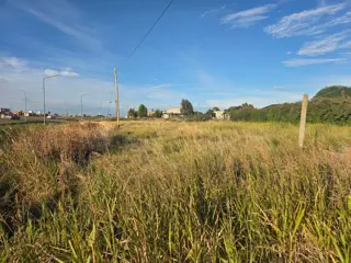 Terrenos en alquiler 80 mts de frente sobre ruta foto 4