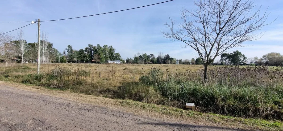 VENTA LOTES 2500m2 CON ESCRITURA EN GRAL LAS HERAS foto 3