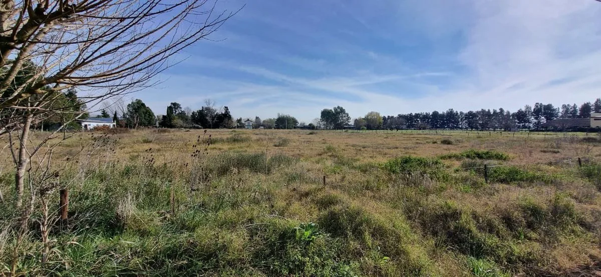 VENTA LOTES 2500m2 CON ESCRITURA EN GRAL LAS HERAS foto 4