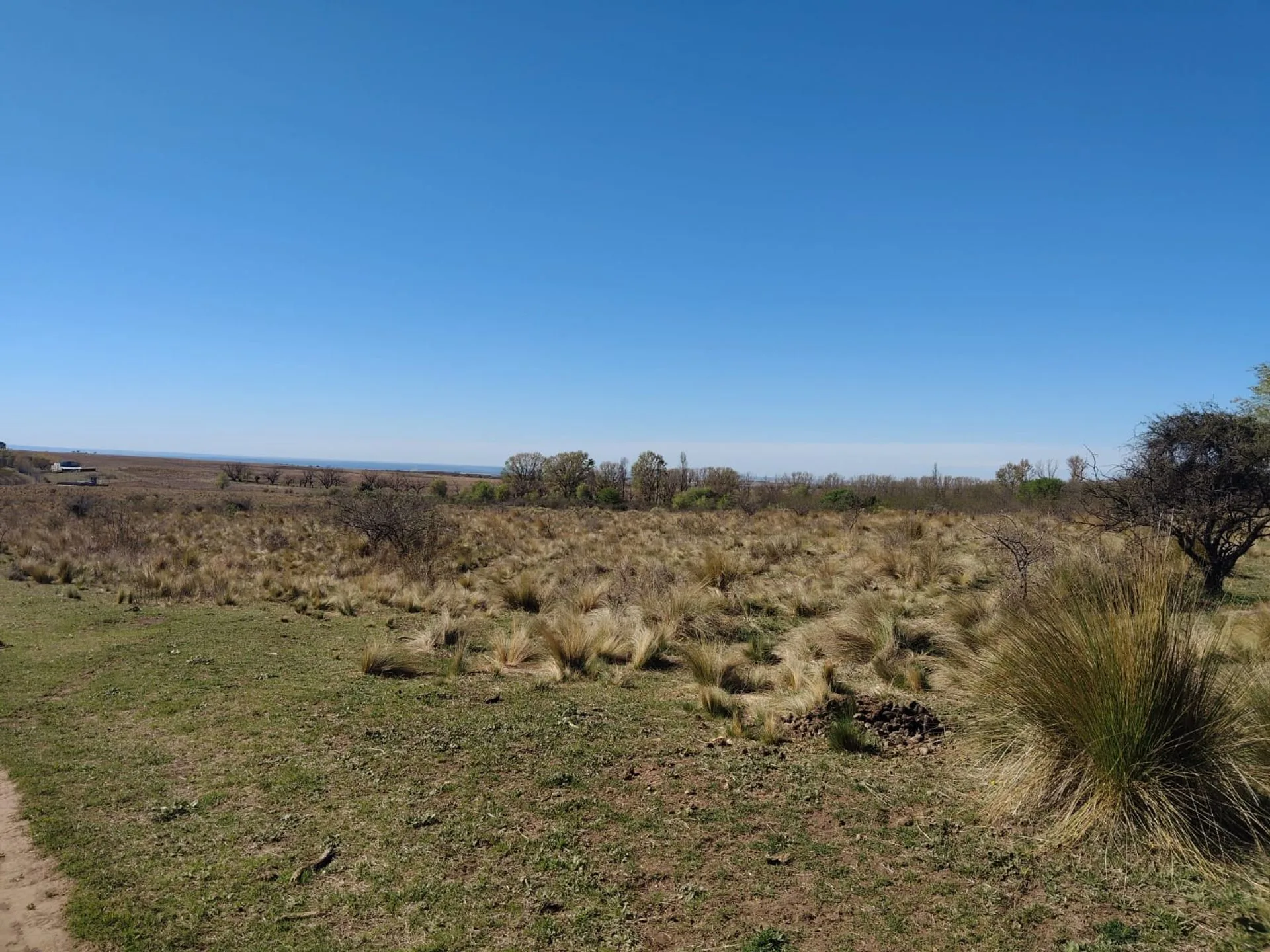 VENTA CAMPO 2Ha EN ESTANCIA GRANDE SAN LUIS foto 2