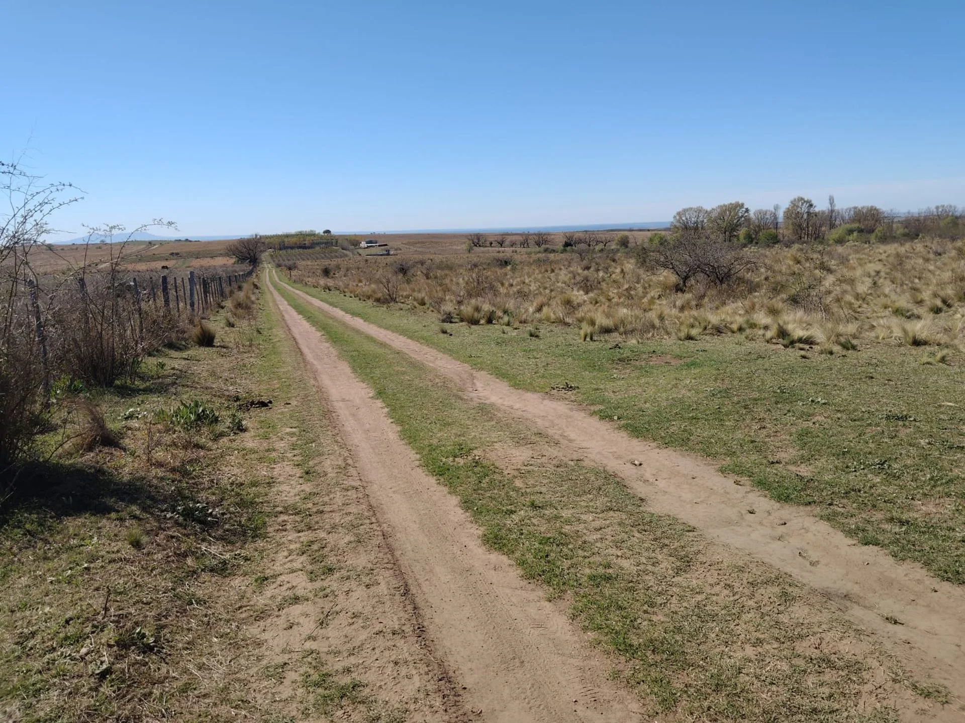 VENTA CAMPO 2Ha EN ESTANCIA GRANDE SAN LUIS foto 3