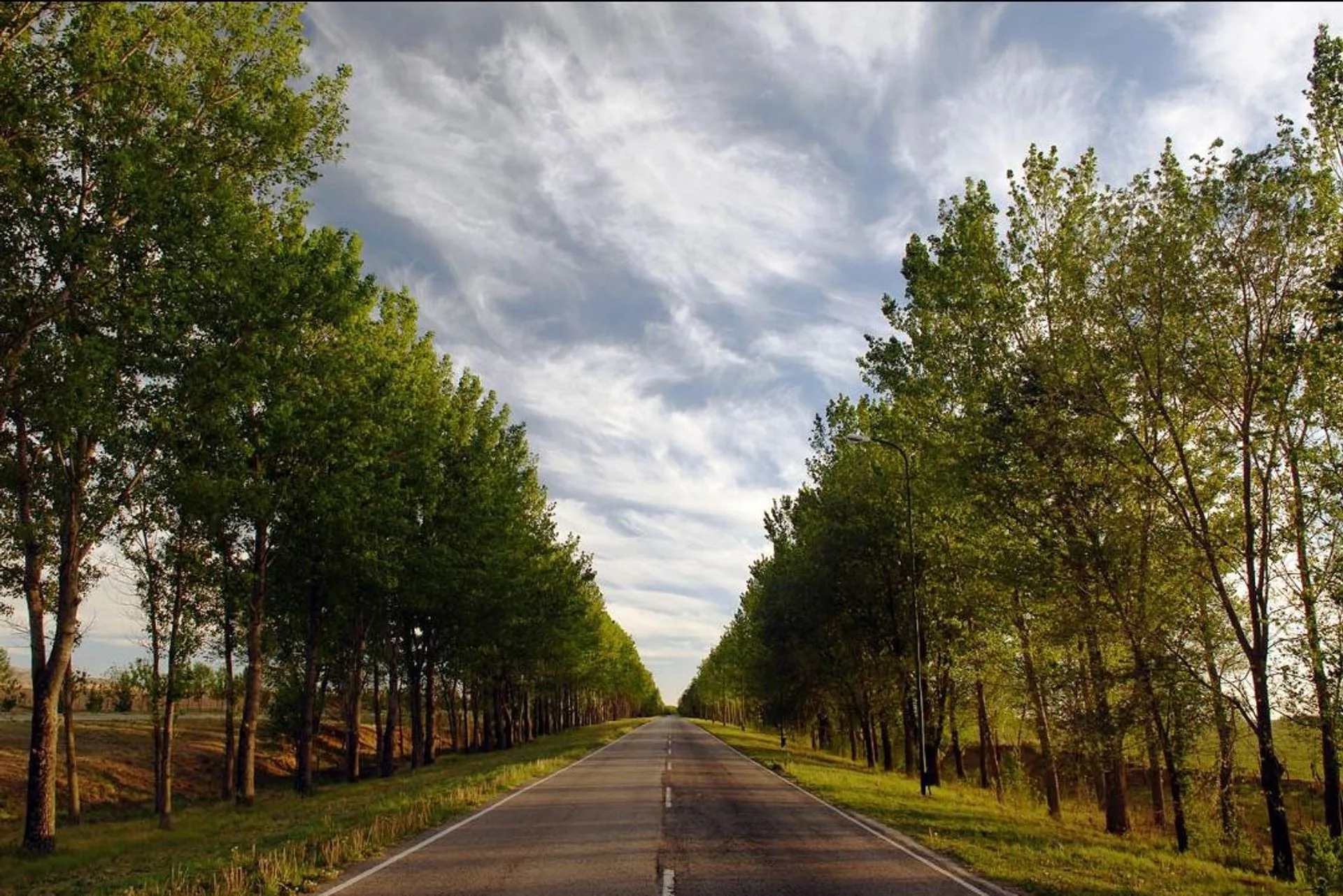VENTA CAMPO 2Ha EN ESTANCIA GRANDE SAN LUIS foto 4