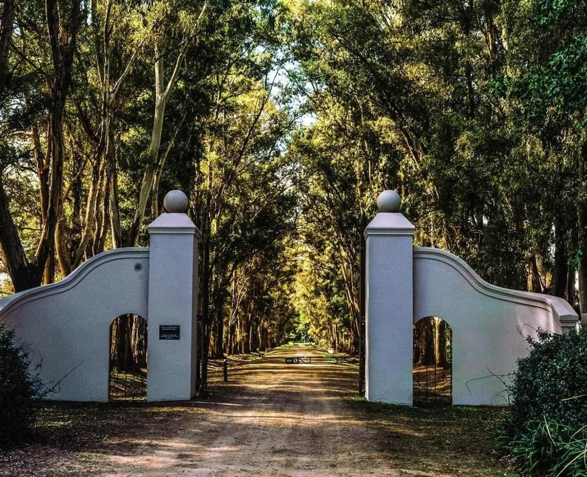 "Venta Terrenos Chacras San Andres/E.2 VILLA RUIZ" foto 4