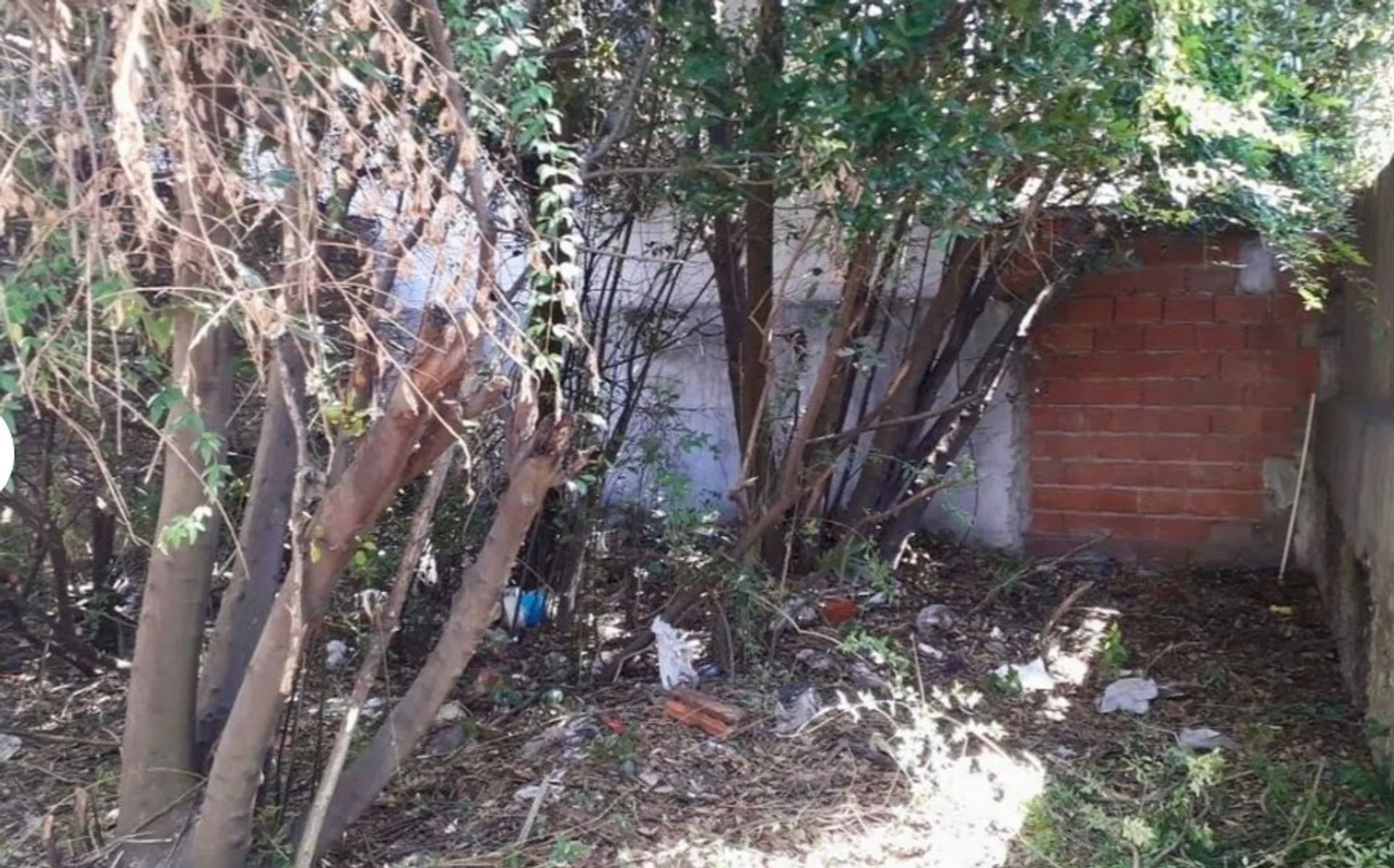 VENTA LOTE SOBRE AVENIDA IDEAL CONSTRUCTOR foto 4