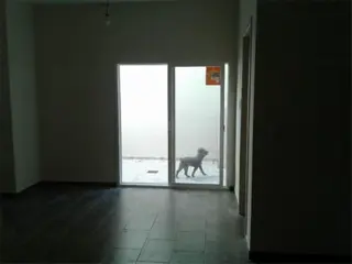 Casa de 3 Ambientes Refaccionada a Nuevo foto 4