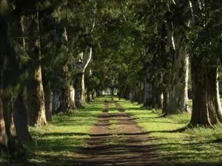 Campo en Venta en Pilar, Pilar, Buenos Aires foto 1