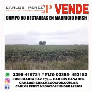 CAMPO EN VENTA 60 HECT. EN HIRSCH foto 1