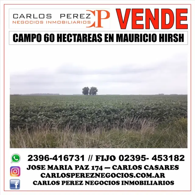 CAMPO EN VENTA 60 HECT. EN HIRSCH