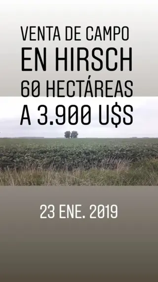 CAMPO EN VENTA 60 HECT. EN HIRSCH foto 5