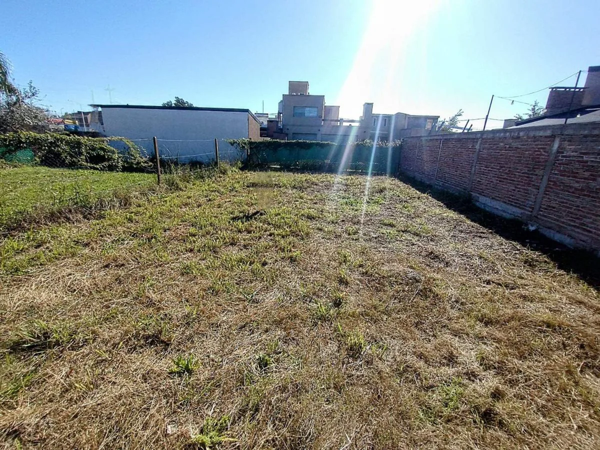 VENTA TERRENO CON CASA A TERMINAR EN ALVEAR foto 4