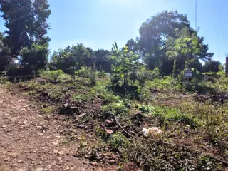 Terreno En Esquina Venta Punta Alta Oberá 408m2 Apto Crédito foto 4
