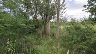 TERRENO VILLA ANISACATE foto 2