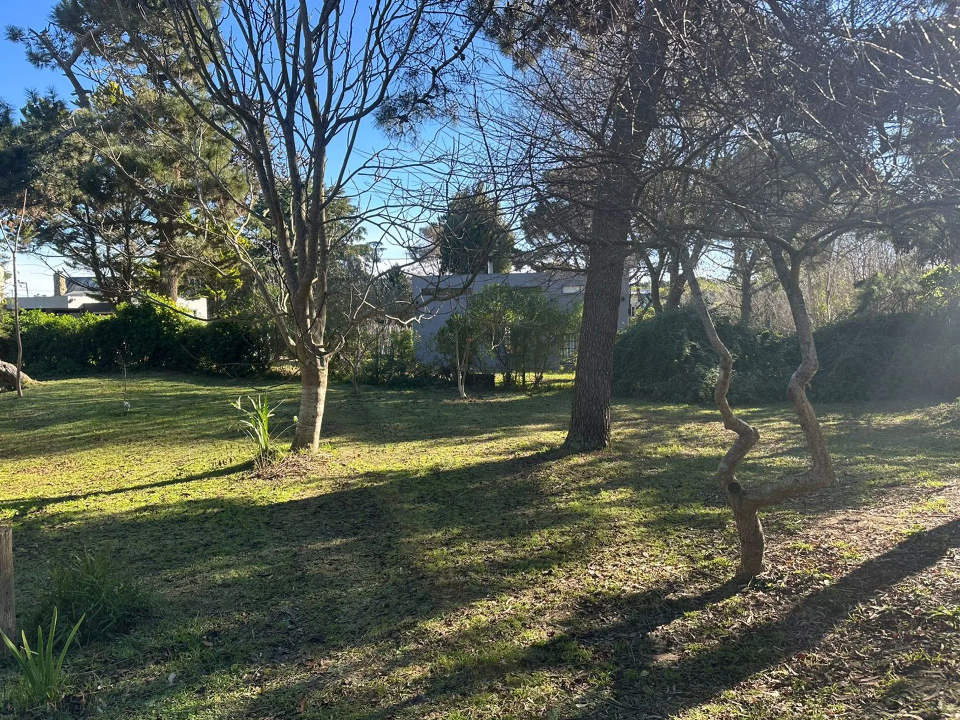 Venta terreno multifamiliar Colonia Marina Gesell foto 4