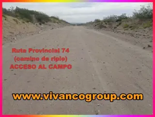 Se vende Campo 2800 has. - Cerro Policía - Departamento El Cuy-Provinciade Río Negro - Patagonia - Argentina foto 2