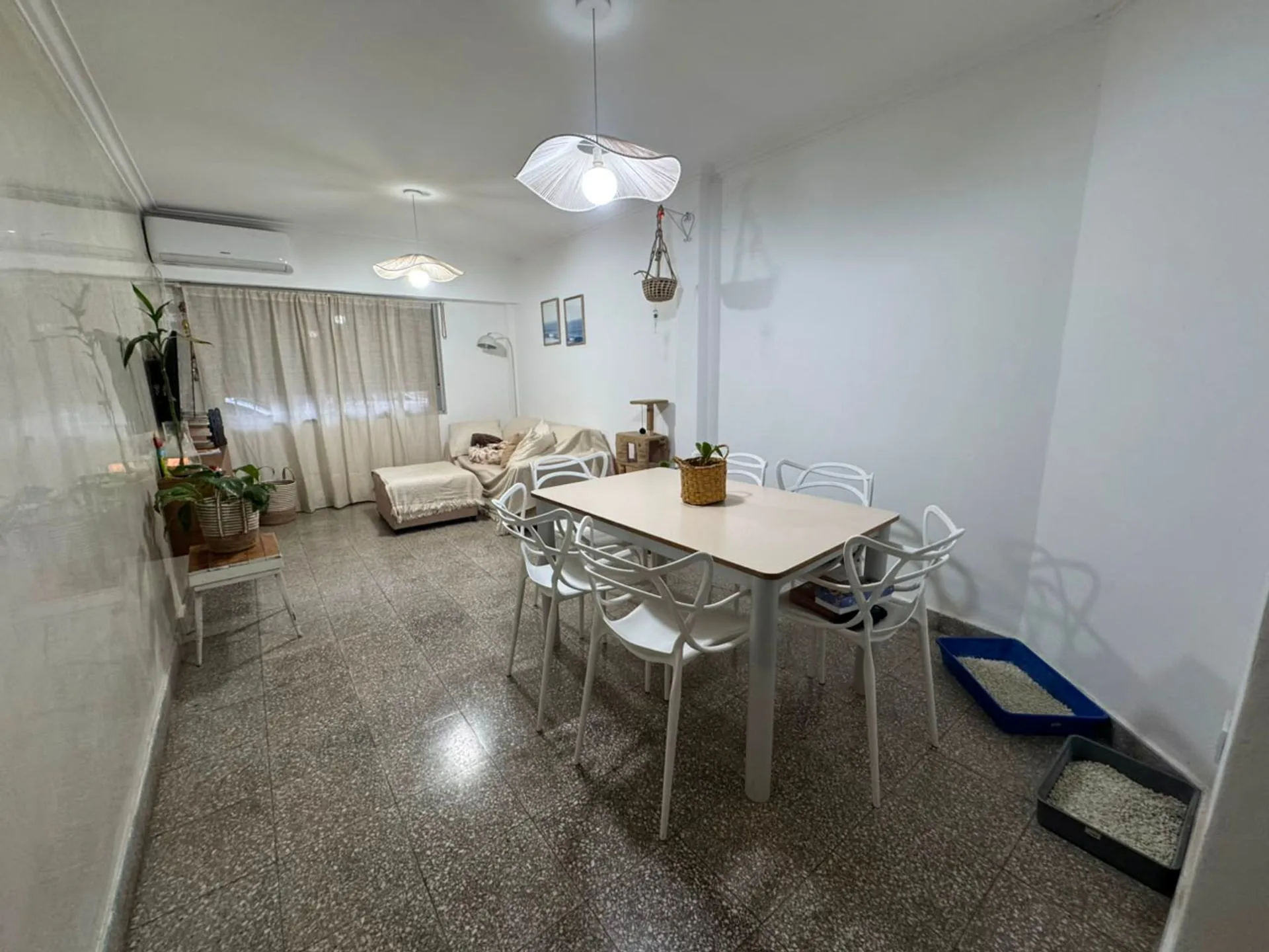 SE VENDE DPTO PLANTA BAJA DOS DORMITORIOS Y PATIO foto 2
