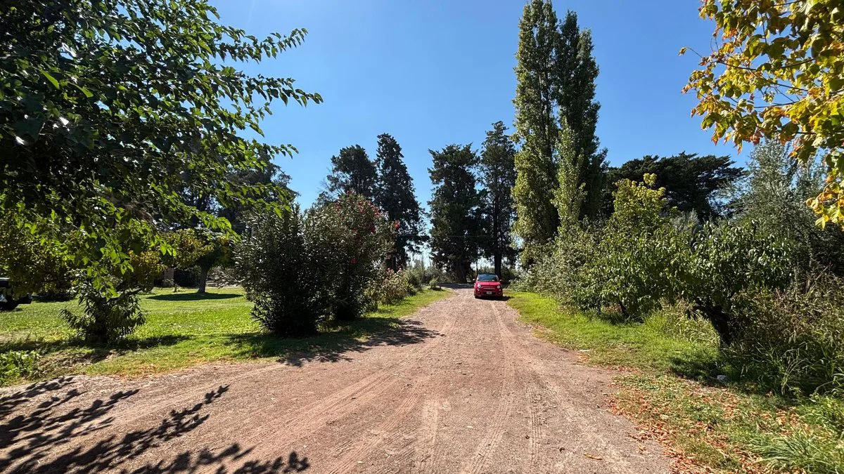 VENTA GRAN TERRENO 6000m2, VIDELA ARANDA, MAIPÚ foto 4