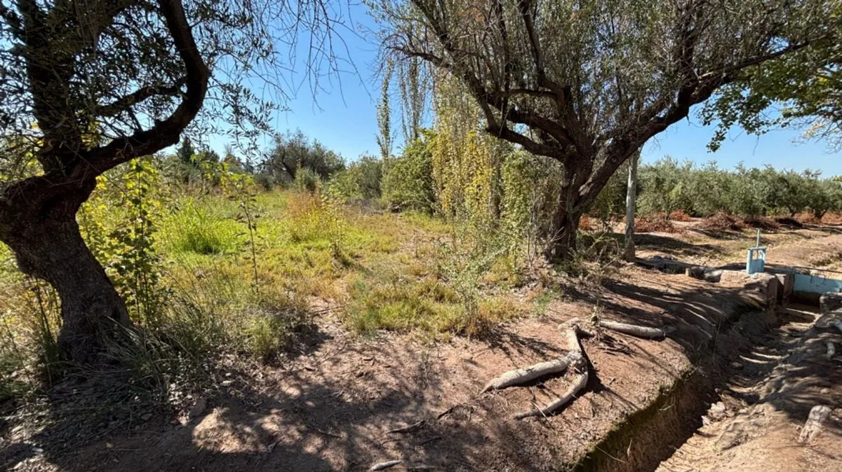 VENTA GRAN TERRENO 6000m2, VIDELA ARANDA, MAIPÚ foto 5