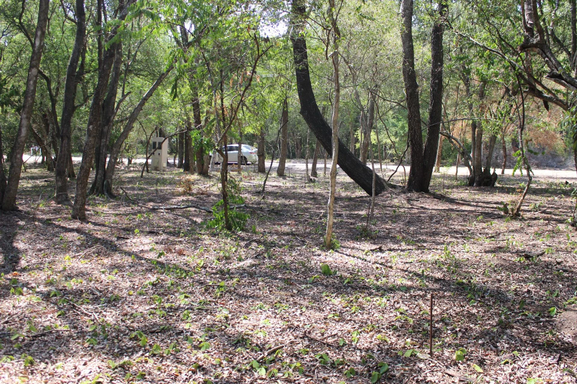 VENTA DE LOTE EN PERICHON CORRIENTES foto 2