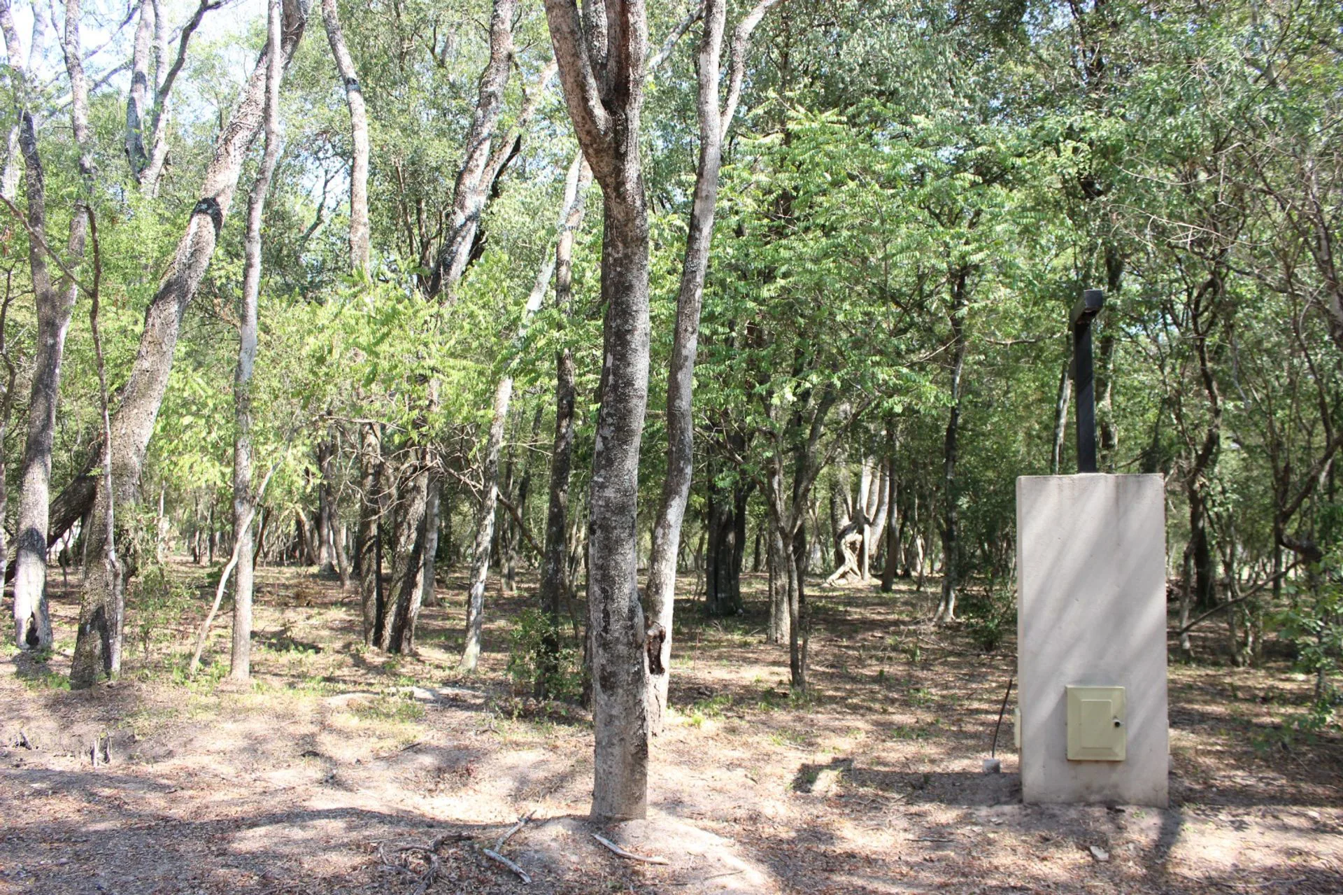 VENTA DE LOTE EN PERICHON CORRIENTES foto 3