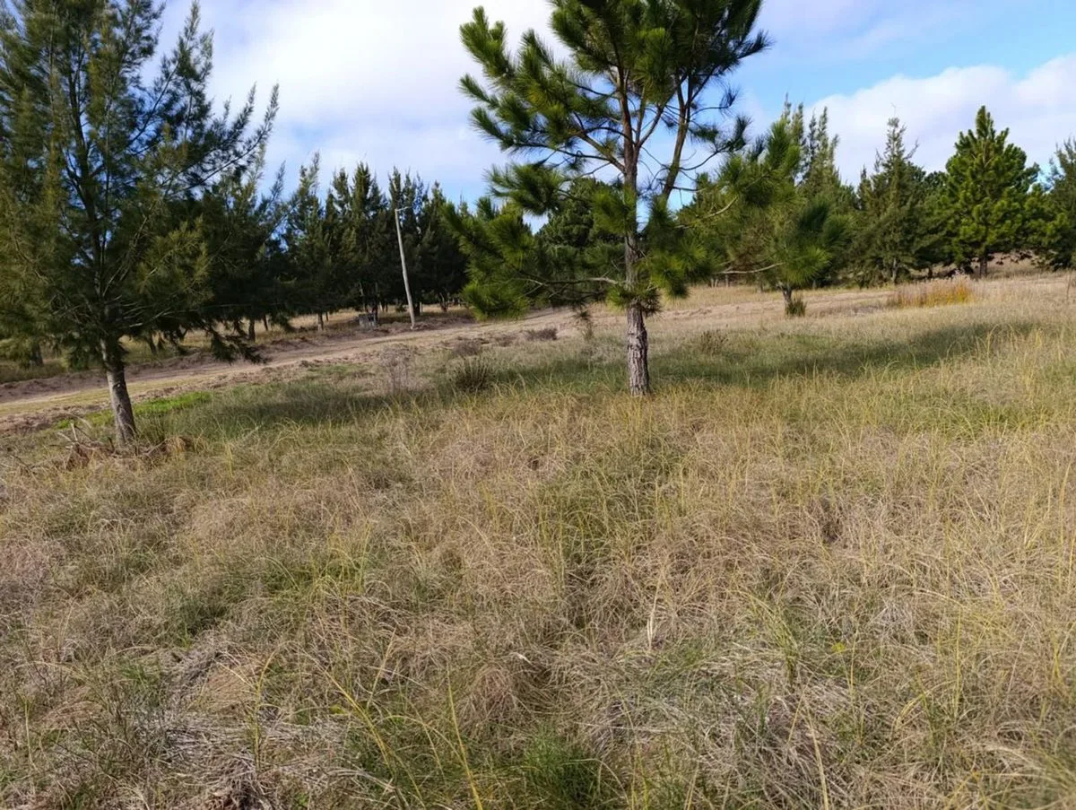 VENTA LOTE 1000 METROS COSTA DEL ESTE