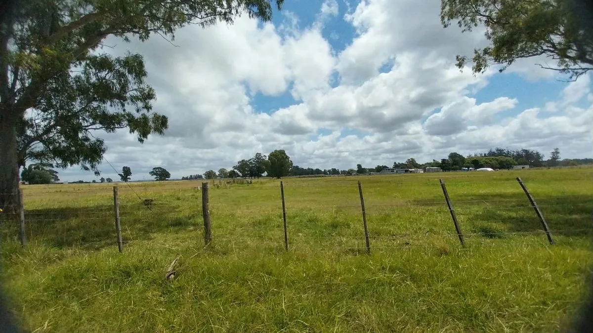 Venta de Campo de 11 hectáreas en El Casal foto 5