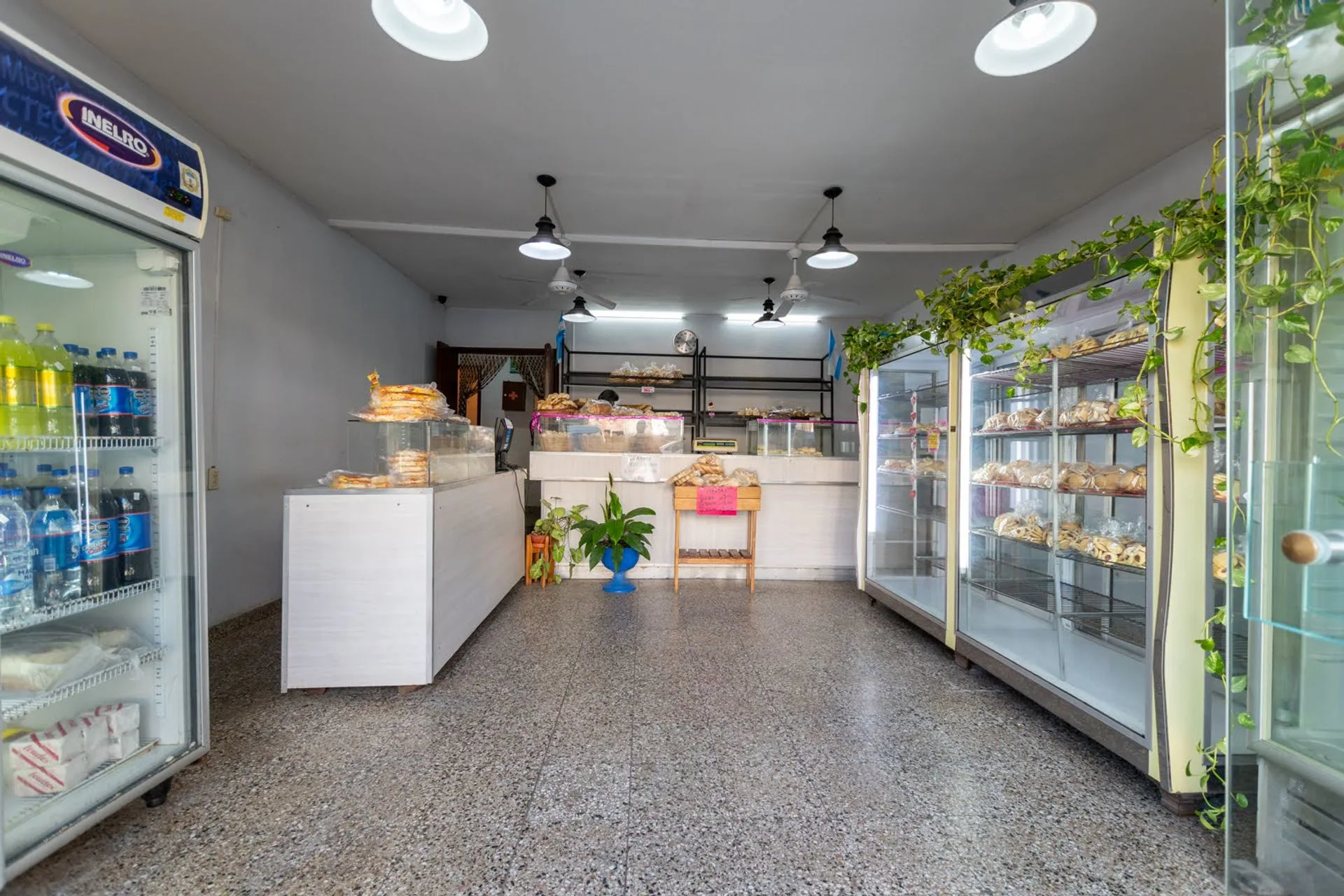 VENTA LOCAL COMERCIAL + DEPARTAMENTO foto 5