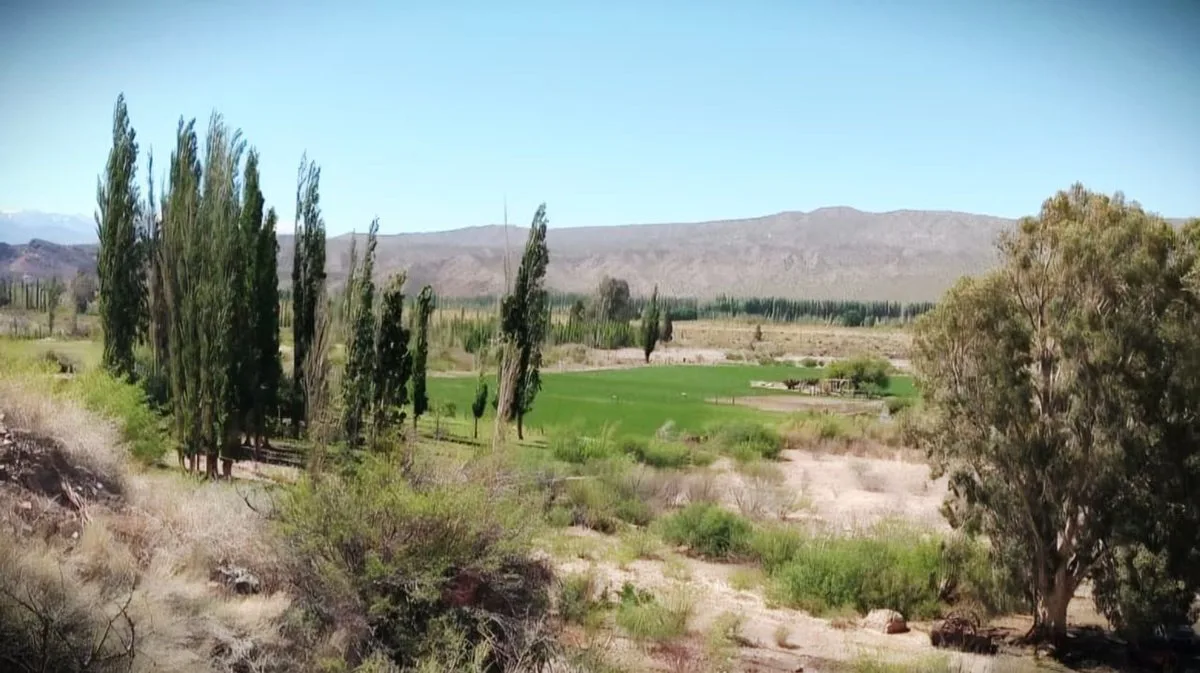 VENTA CAMPO DE 7,69 HAS EN VILLA NUEVA CALINGASTA foto 2