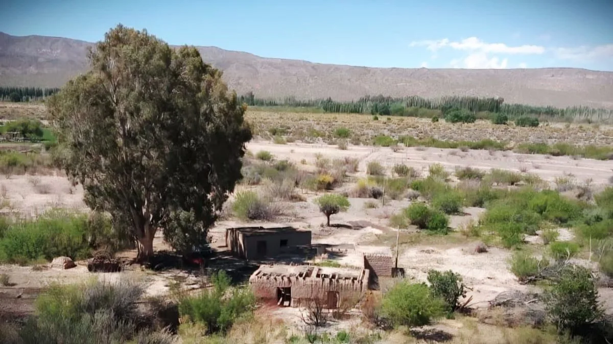 VENTA CAMPO DE 7,69 HAS EN VILLA NUEVA CALINGASTA foto 4