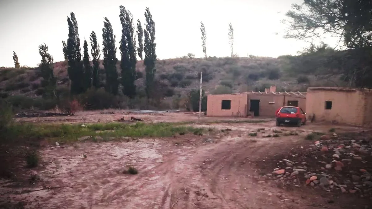 VENTA CAMPO DE 7,69 HAS EN VILLA NUEVA CALINGASTA foto 5