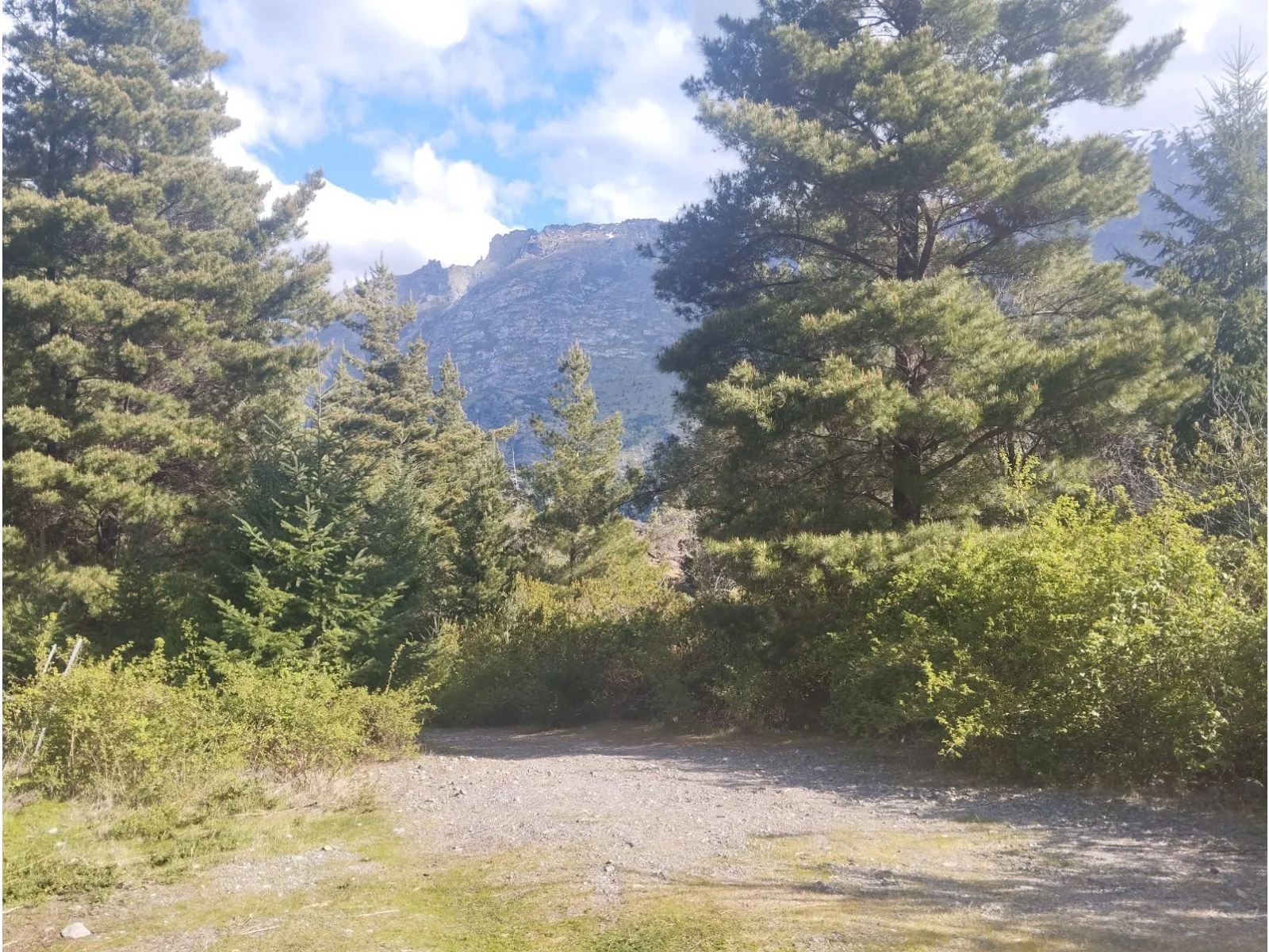 (058B) EL HOYO ( El Pedregoso), Terreno de 6Has foto 5