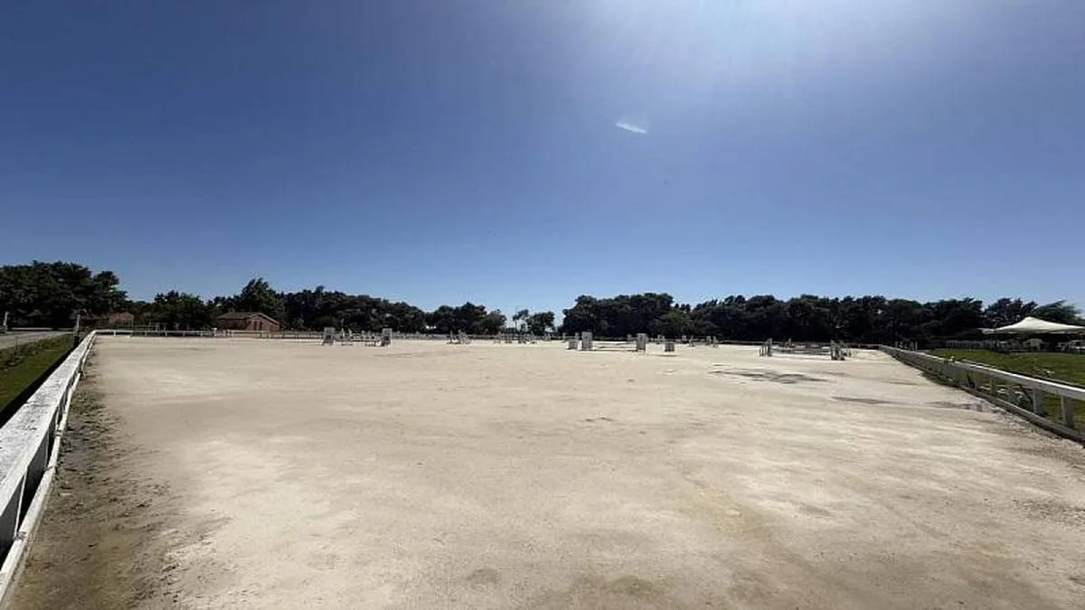 Haras del Sol - foto 2