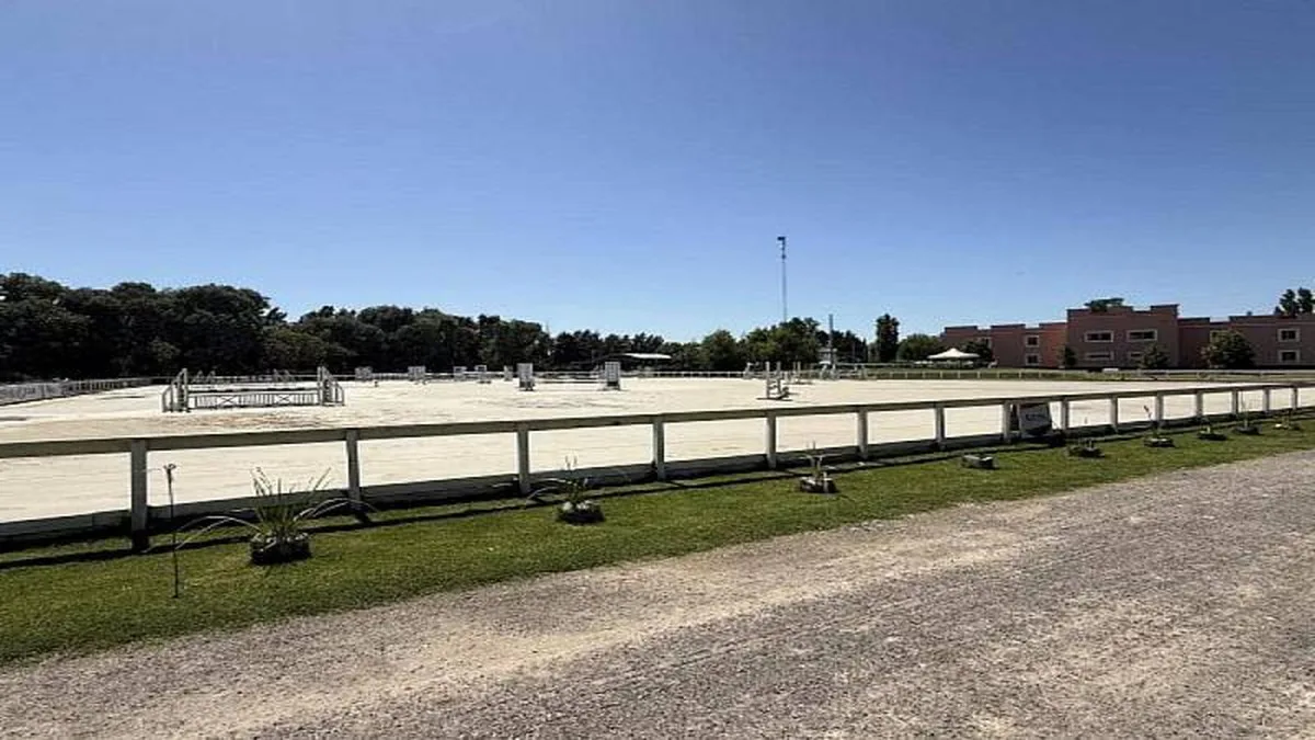 Haras del Sol - foto 4