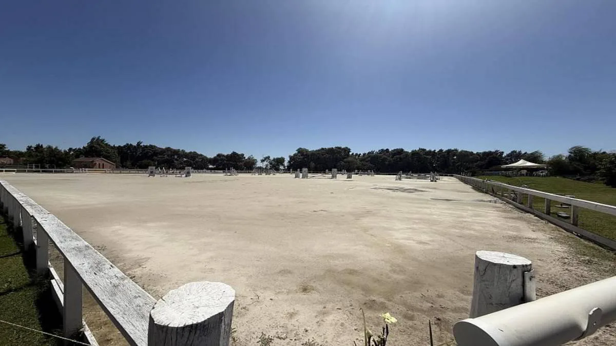 Haras del Sol - foto 5