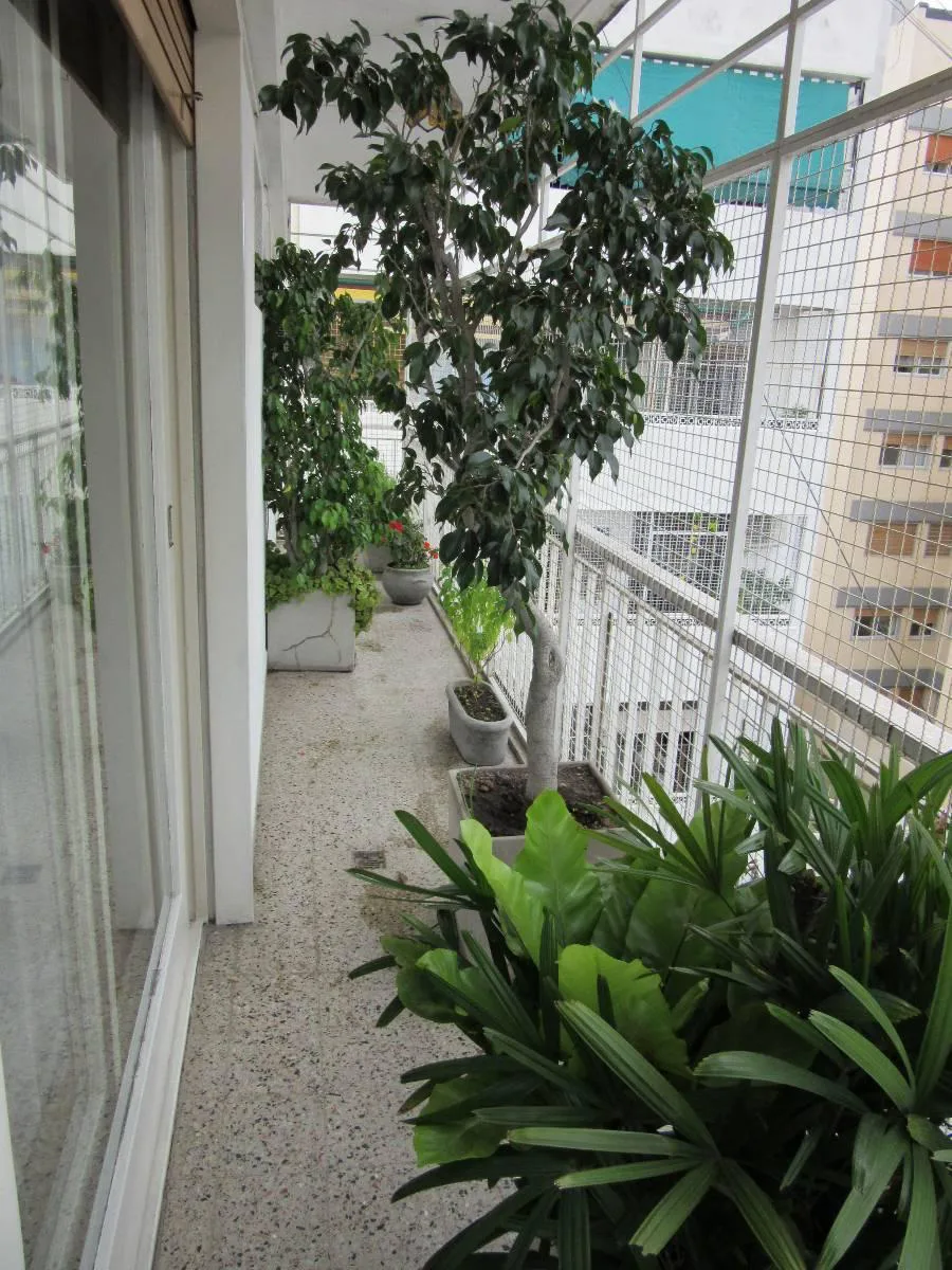 3-bedroom apartment in Belgrano – photo 13 of 15
