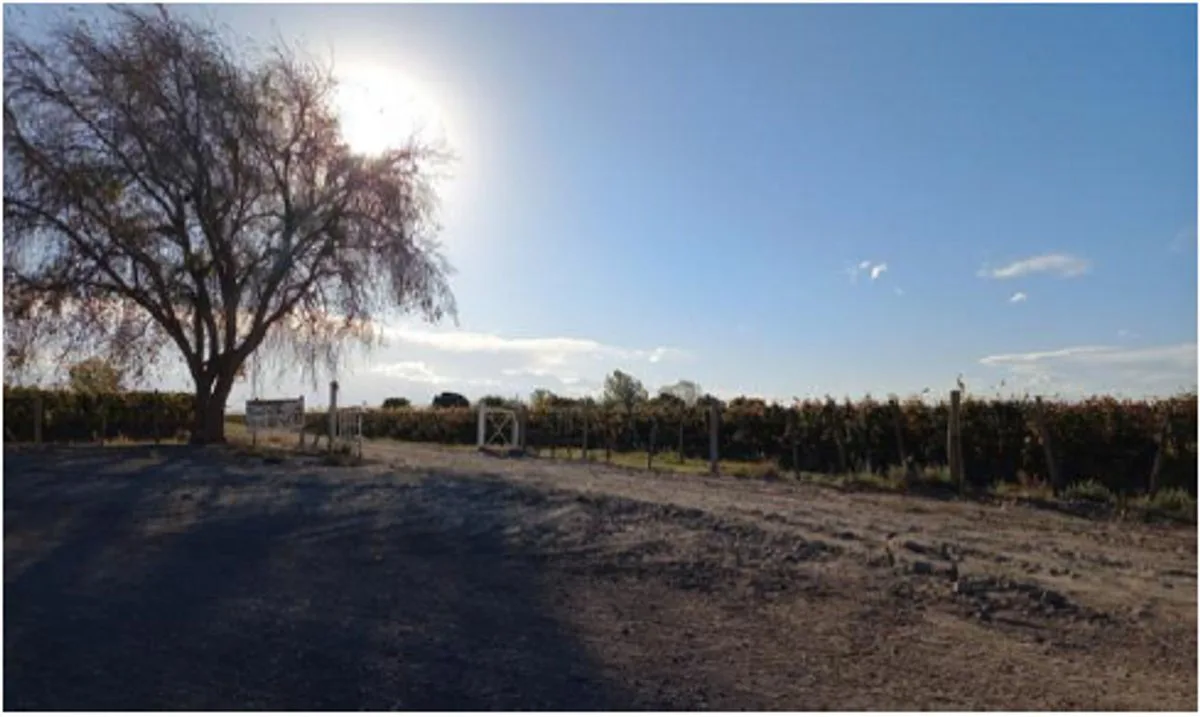 CAMPO EN VENTA 1307 HA ANCHORIS TUPUNGATO RUTA 40 foto 4